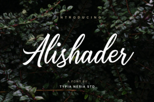 Alishader: A Comprehensive Guide to Understanding and Utilizing This Powerful Tool