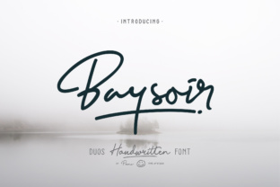 Baysoir: A Comprehensive Review for Modern Creators and Professionals