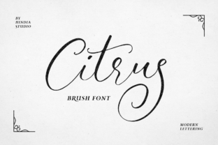 Citrus: A Creative Catalyst