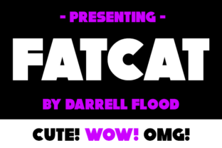 FatCat: A Comprehensive Evaluation for Modern Users