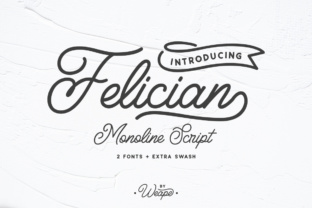 Felician: A Comprehensive Exploration of Its Applications and Impact