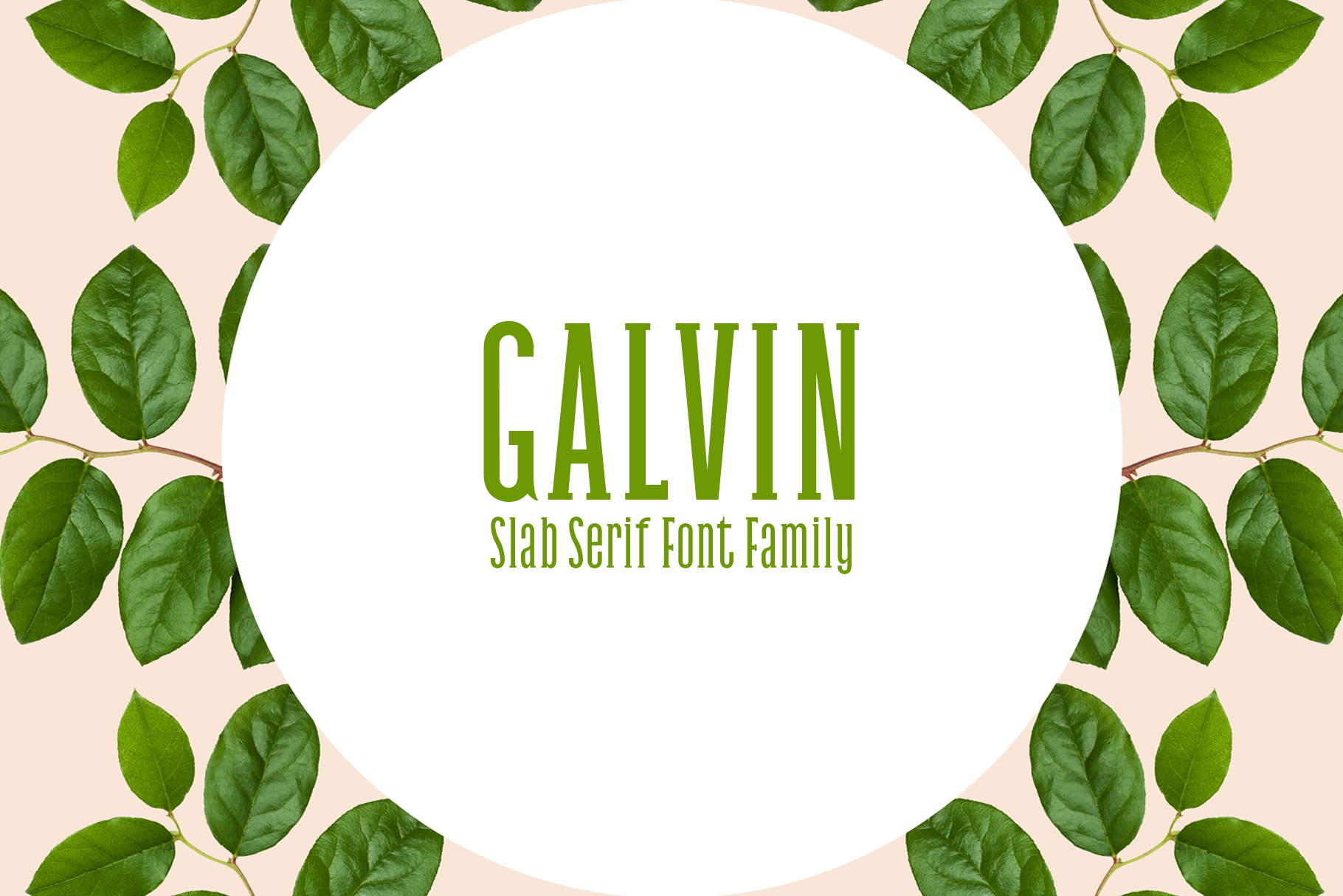 Galvin Family Pack: A Modern Solution for Connected Living