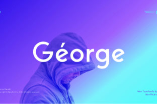 George: A Comprehensive Evaluation for Informed Decision-Making