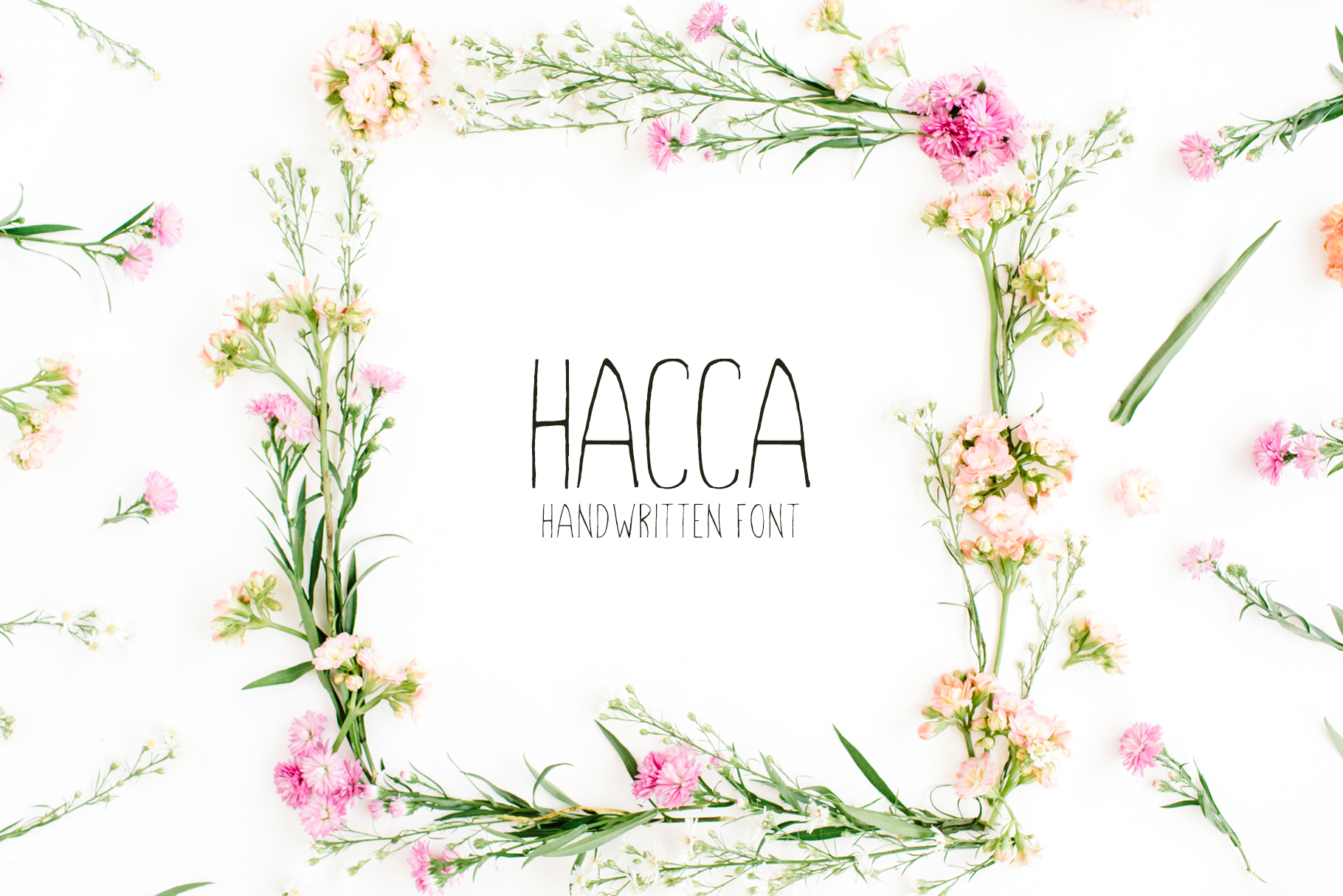 Hacca: What It Is and Why You Need to Understand It