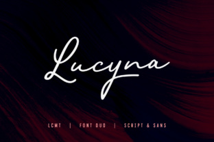 Lucyna and the Modern Digital Workflow