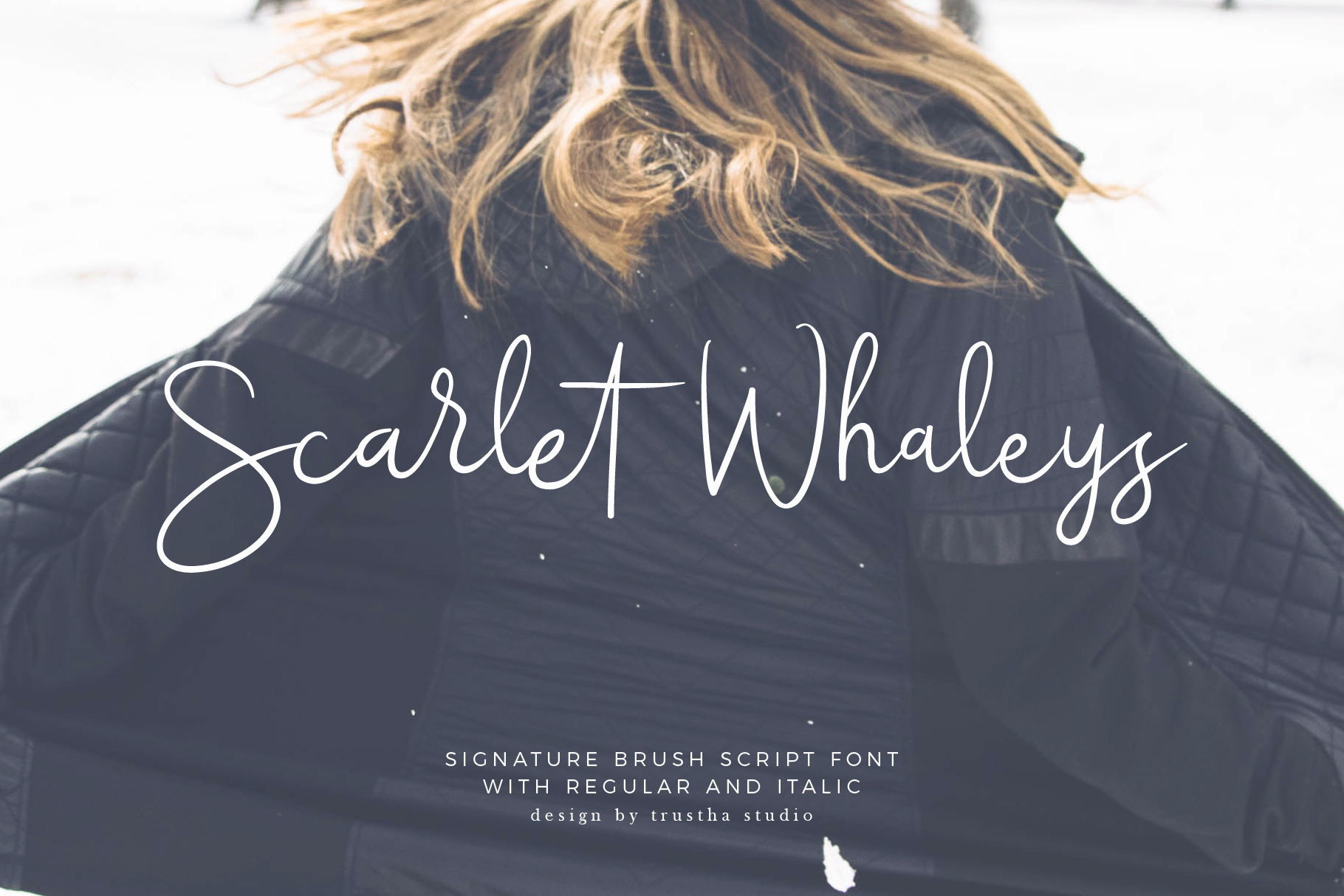 Scarlet Whaleys: A Creative Tool for All