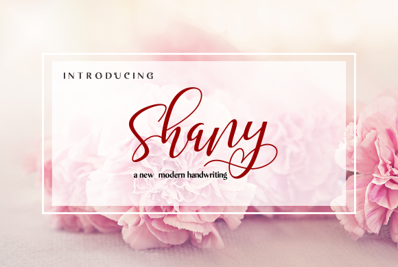 Shany: A Design Essential