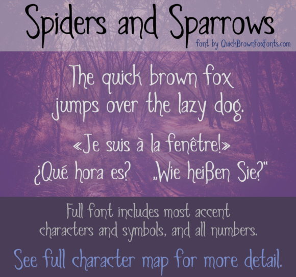 Spiders and Sparrows: A Practical Approach to Workflow Integration