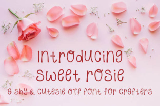 Sweet Rosie: A Comprehensive Evaluation for Informed Decision-Making