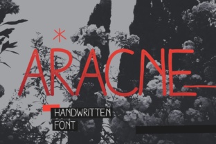 Understanding Aracne: A Comprehensive Guide