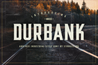 Understanding Durbank: A Practical Guide for Everyday Use