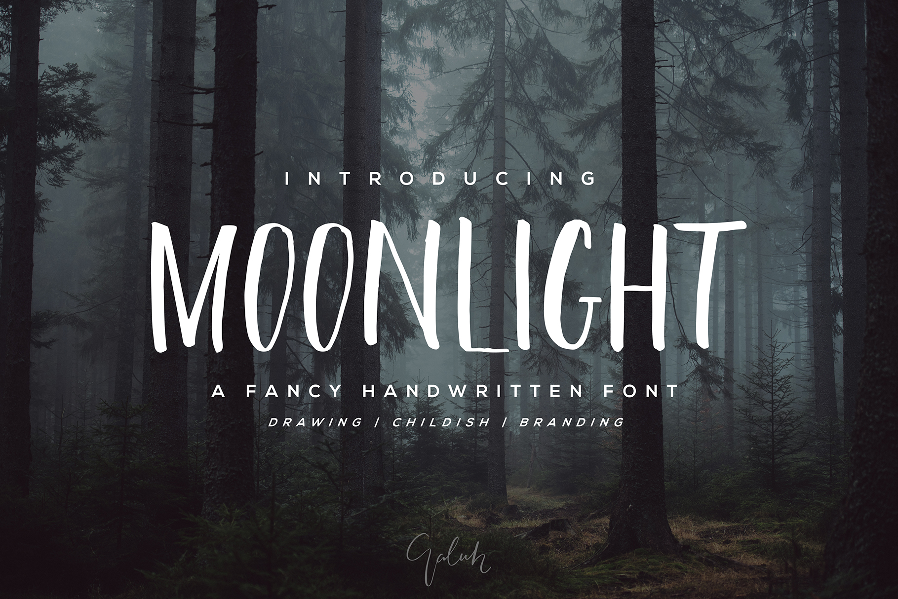 Understanding Moonlight: A New Era of Flexibility and Innovation