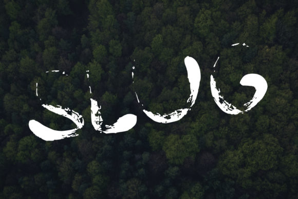 Understanding the Role of Slug in Modern Digital Workflows